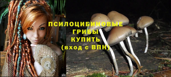 дживик Алексин
