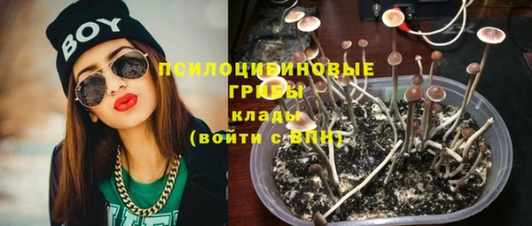 дживик Алексин