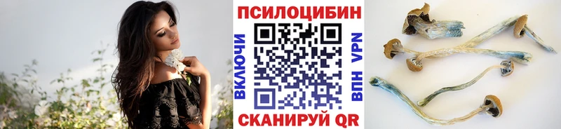 OMG как зайти  Злынка  Галлюциногенные грибы Psilocybine cubensis 